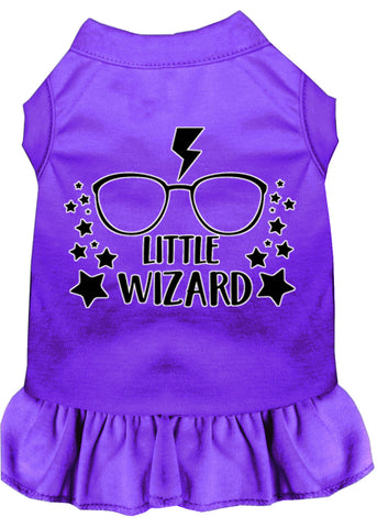 Little Wizard Screen Print Dog Dress Purple 4x (22)