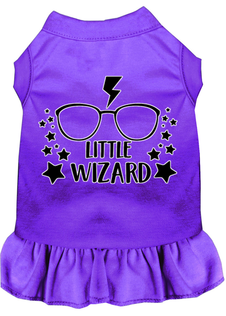 Little Wizard Screen Print Dog Dress Purple Xl (16)