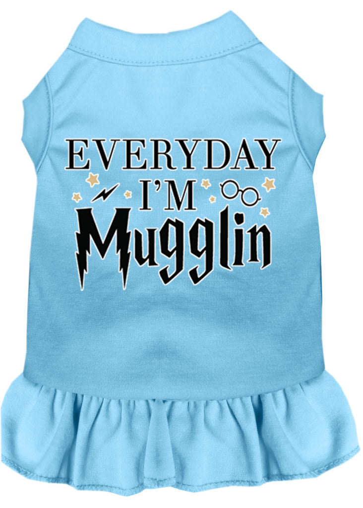 Everyday I'm Mugglin Screen Print Dog Dress Baby Blue 4x (22)