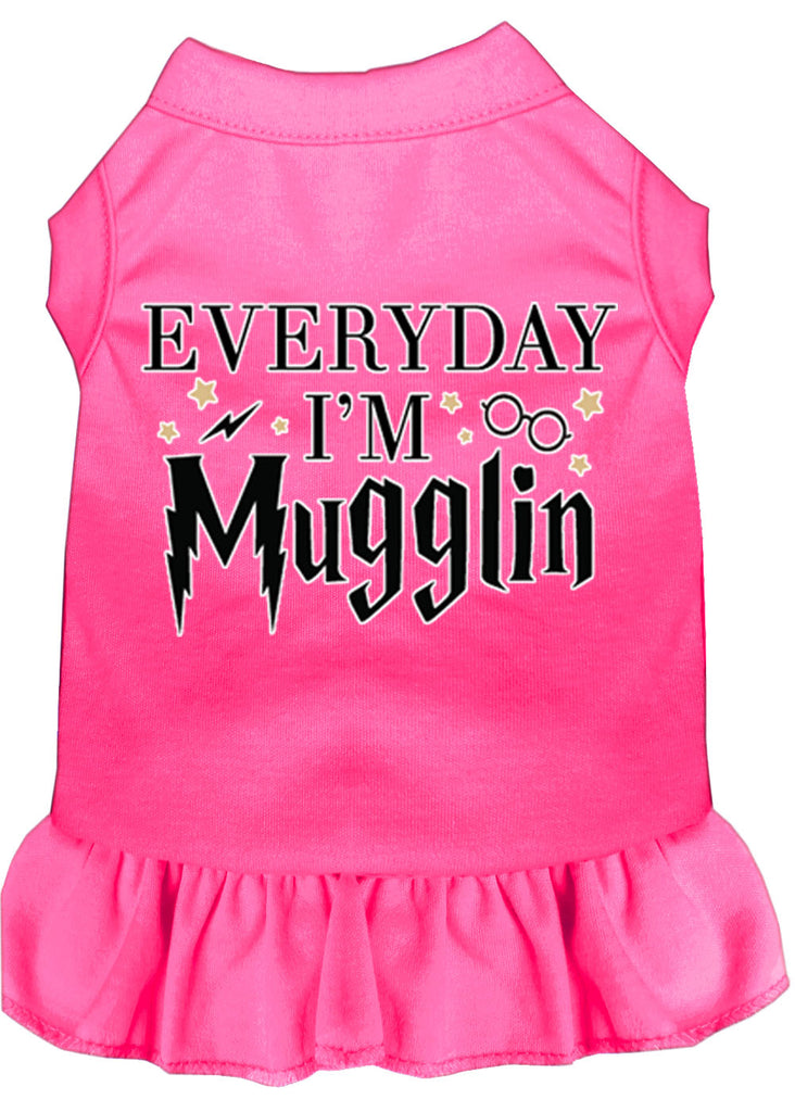 Everyday I'm Mugglin Screen Print Dog Dress Bright Pink Med (12)