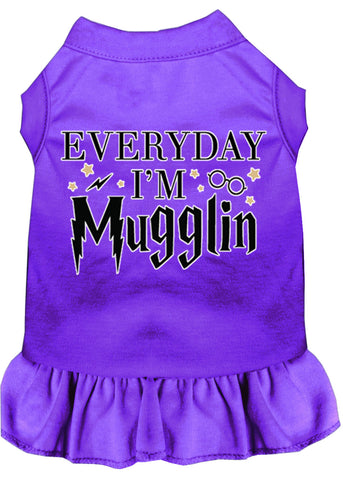 Everyday I'm Mugglin Screen Print Dog Dress Purple Xs (8)