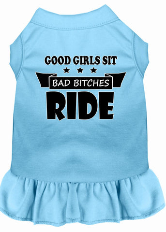 Bitches Ride Screen Print Dog Dress Baby Blue Med (12)