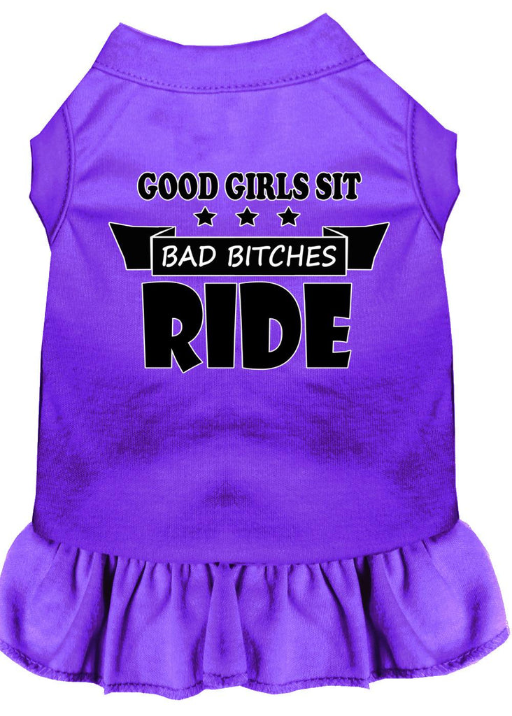 Bitches Ride Screen Print Dog Dress Purple 4x (22)