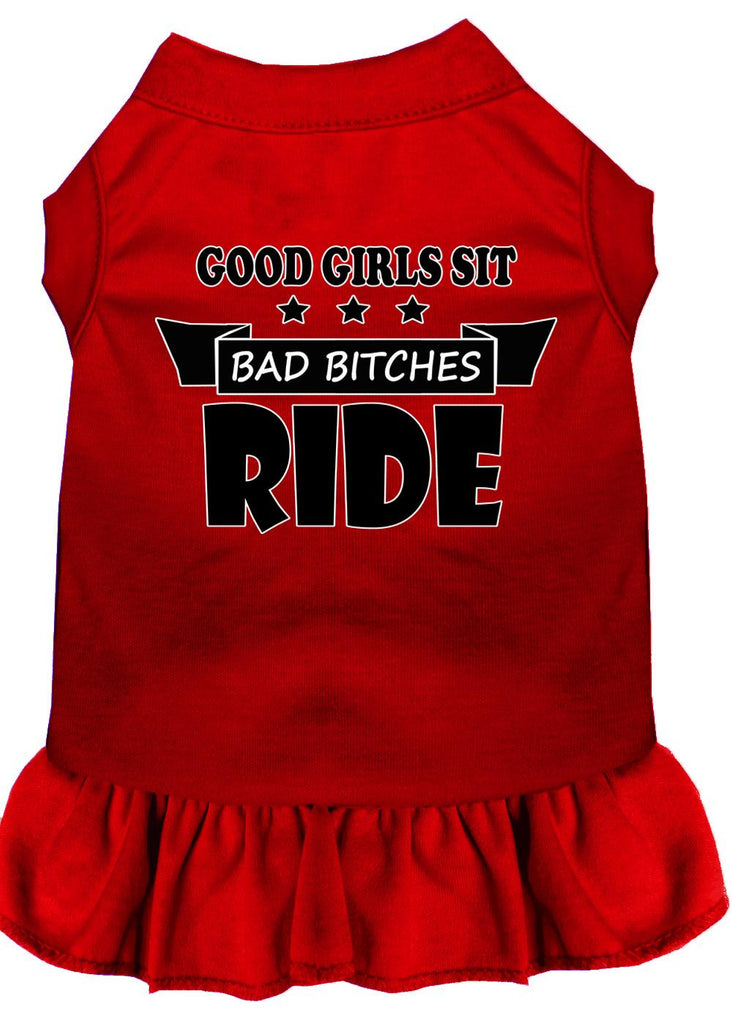 Bitches Ride Screen Print Dog Dress Red Sm (10)