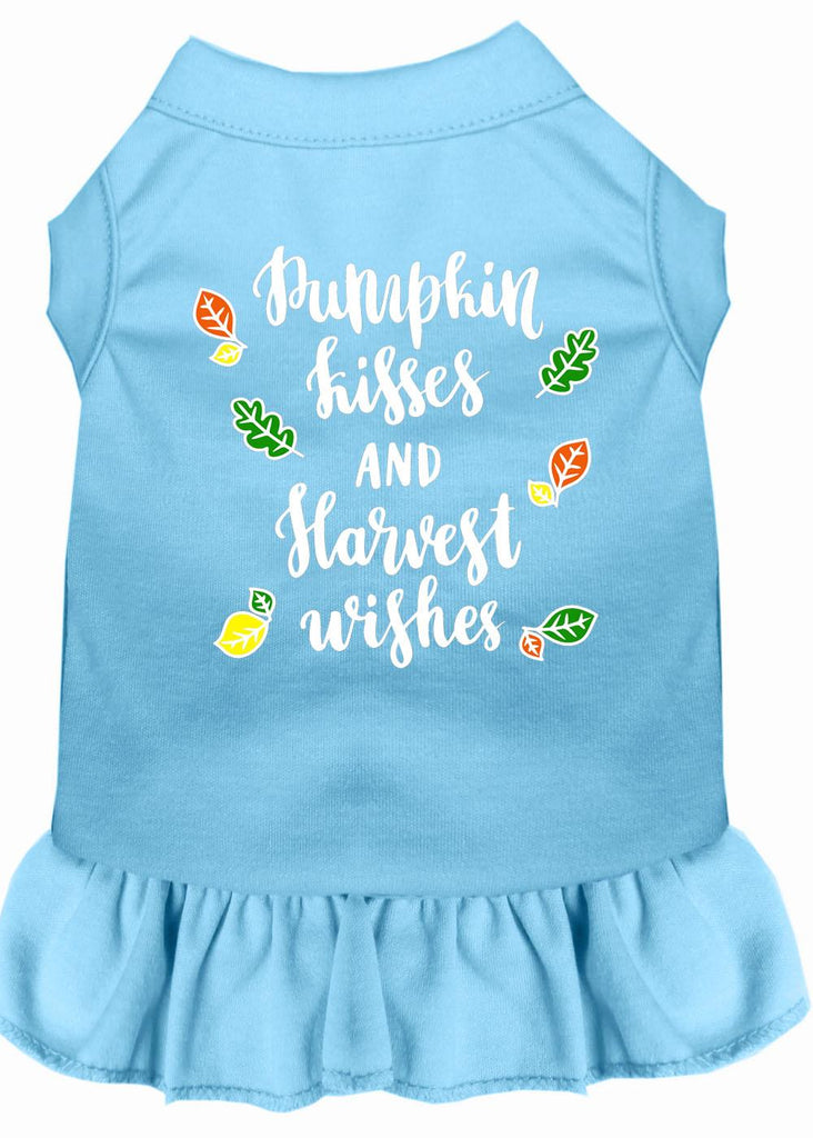 Pumpkin Kisses Screen Print Dog Dress Baby Blue Xxl (18)
