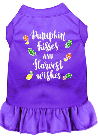 Pumpkin Kisses Screen Print Dog Dress Purple 4x (22)