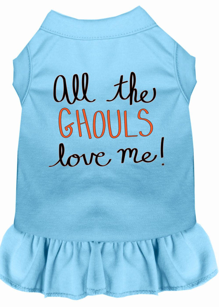 All The Ghouls Screen Print Dog Dress Baby Blue Xs (8)