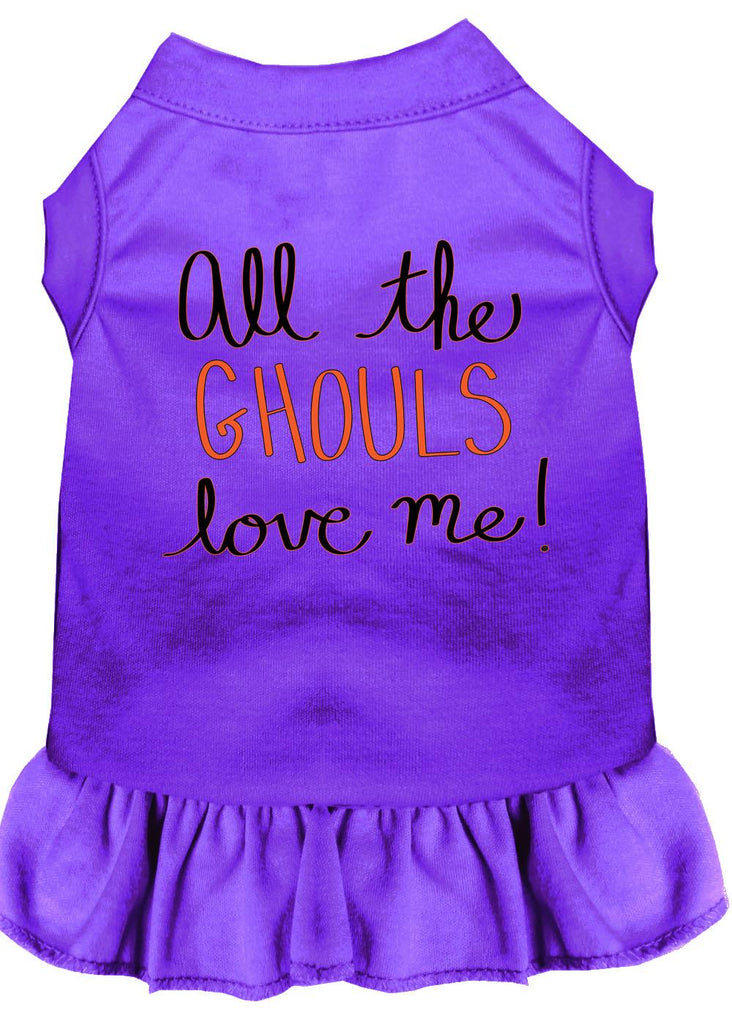 All The Ghouls Screen Print Dog Dress Purple Med (12)