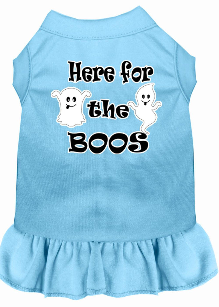 Here For The Boos Screen Print Dog Dress Baby Blue 4x (22)