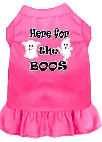 Here For The Boos Screen Print Dog Dress Bright Pink 4x (22)