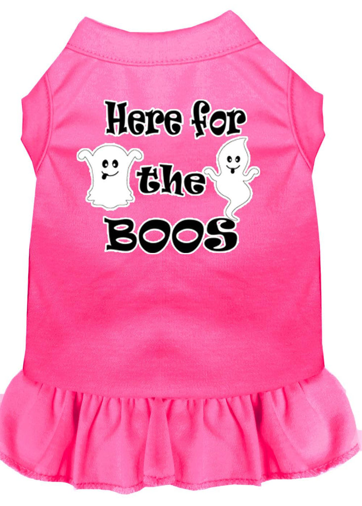 Here For The Boos Screen Print Dog Dress Bright Pink Lg (14)