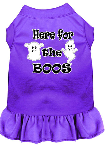 Here For The Boos Screen Print Dog Dress Purple Xxl (18)