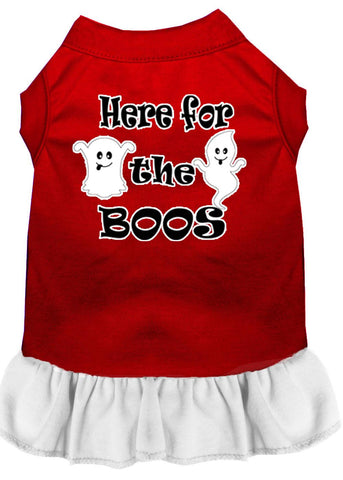 Here For The Boos Screen Print Dog Dress Red With White Med (12)