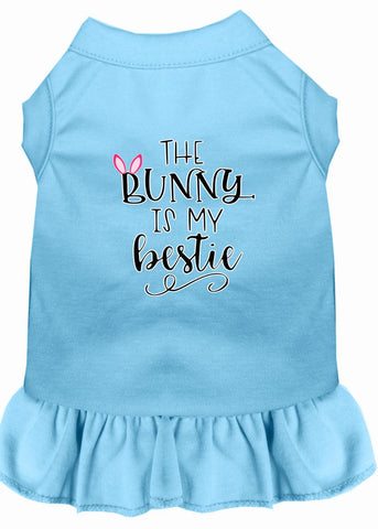 Bunny Is My Bestie Screen Print Dog Dress Baby Blue 4x (22)