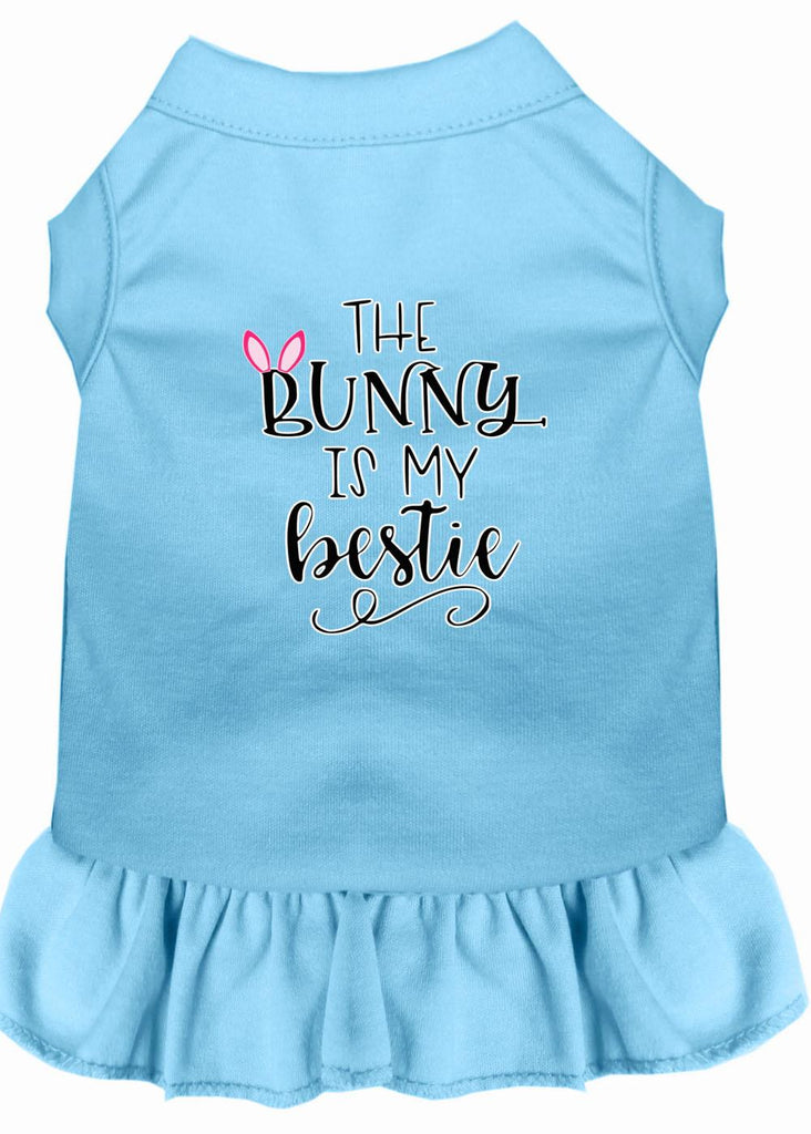 Bunny Is My Bestie Screen Print Dog Dress Baby Blue Med (12)