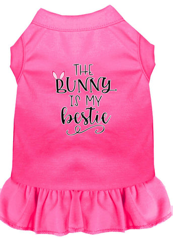 Bunny Is My Bestie Screen Print Dog Dress Bright Pink 4x (22)