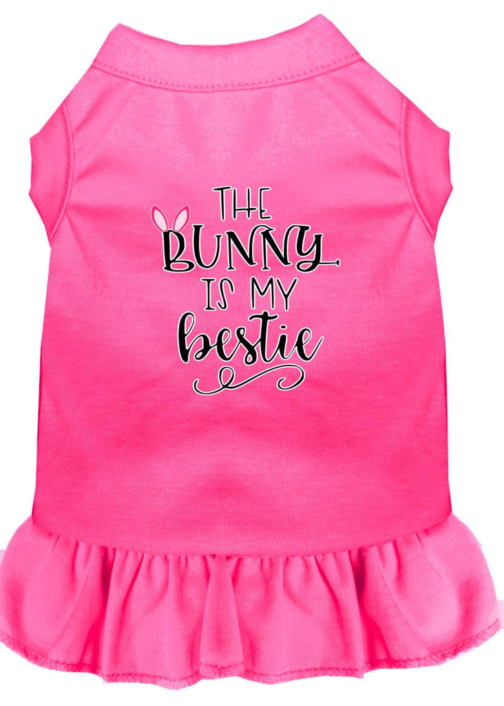 Bunny Is My Bestie Screen Print Dog Dress Bright Pink Sm (10)