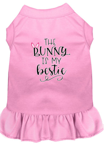 Bunny Is My Bestie Screen Print Dog Dress Light Pink 4x (22)