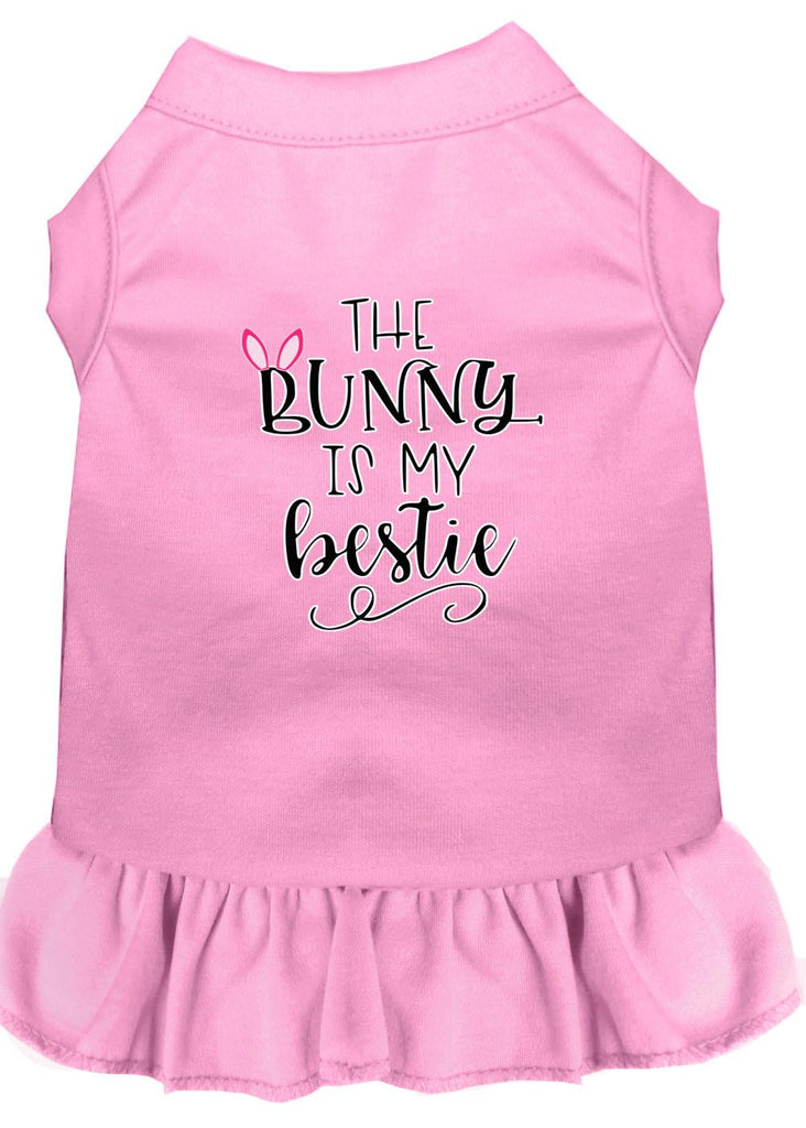 Bunny Is My Bestie Screen Print Dog Dress Light Pink Lg (14)