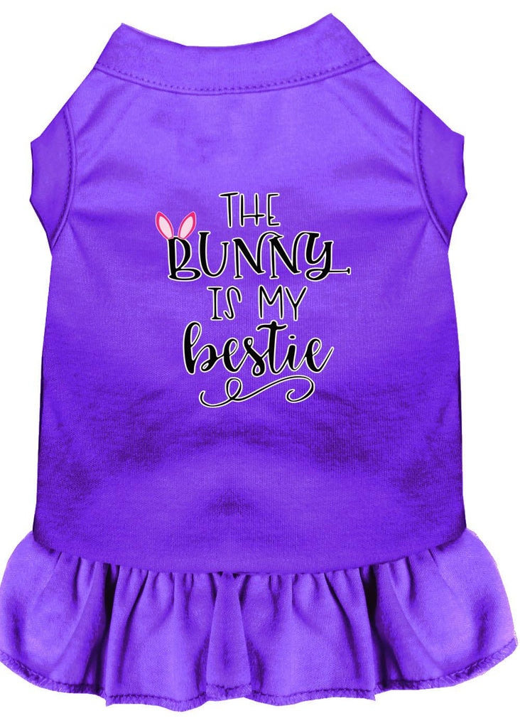 Bunny Is My Bestie Screen Print Dog Dress Purple Med (12)