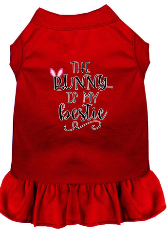 Bunny Is My Bestie Screen Print Dog Dress Red Lg (14)