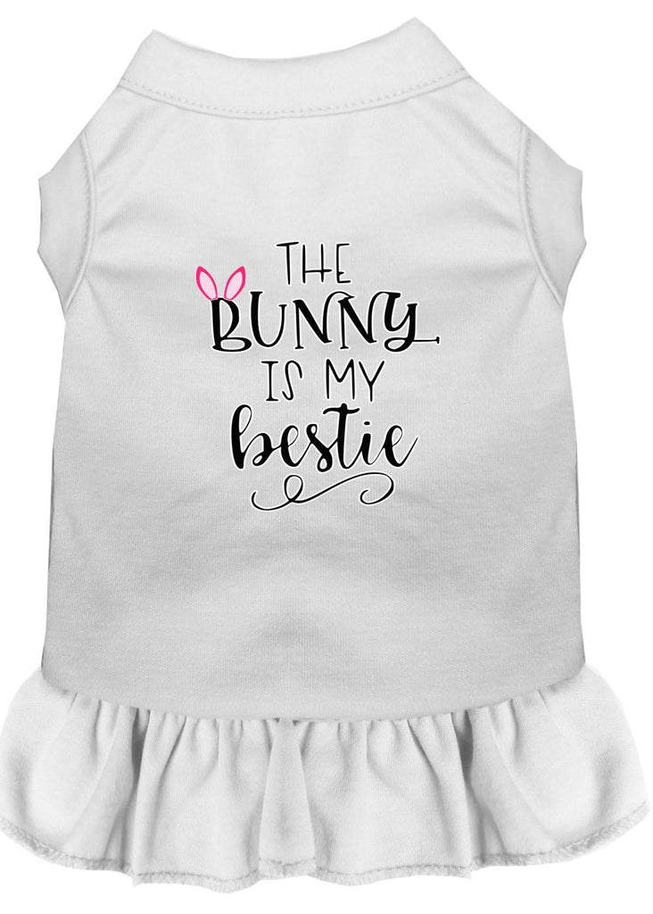 Bunny Is My Bestie Screen Print Dog Dress White Med (12)