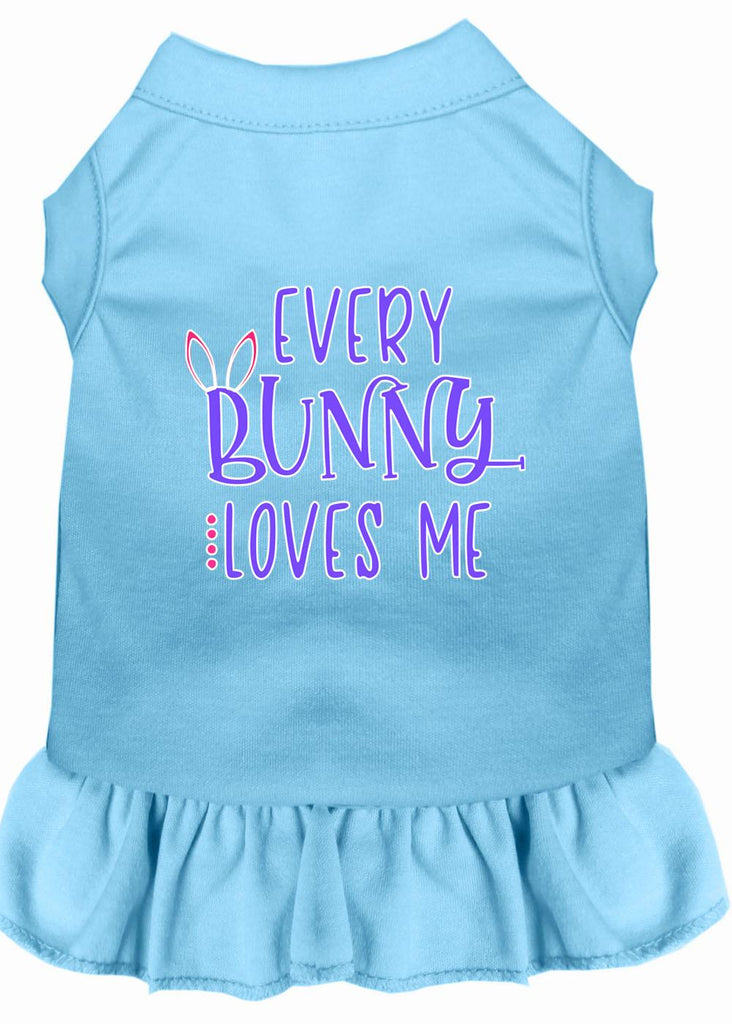 Every Bunny Loves Me Screen Print Dog Dress Baby Blue 4x (22)