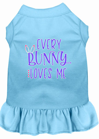 Every Bunny Loves Me Screen Print Dog Dress Baby Blue Med (12)