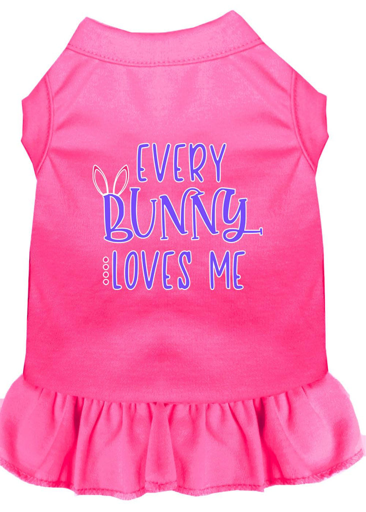 Every Bunny Loves Me Screen Print Dog Dress Bright Pink 4x (22)