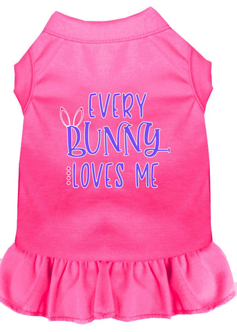 Every Bunny Loves Me Screen Print Dog Dress Bright Pink Sm (10)