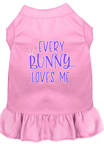 Every Bunny Loves Me Screen Print Dog Dress Light Pink 4x (22)