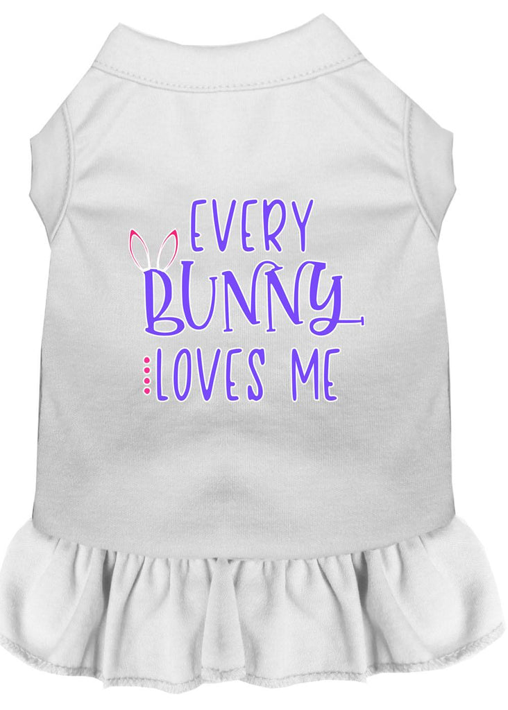 Every Bunny Loves Me Screen Print Dog Dress White 4x (22)