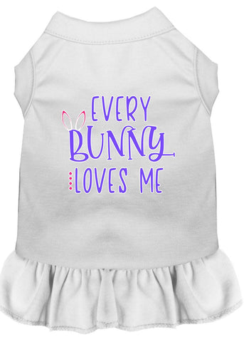 Every Bunny Loves Me Screen Print Dog Dress White 4x (22)