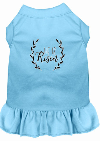 He Is Risen Screen Print Dog Dress Baby Blue 4x (22)