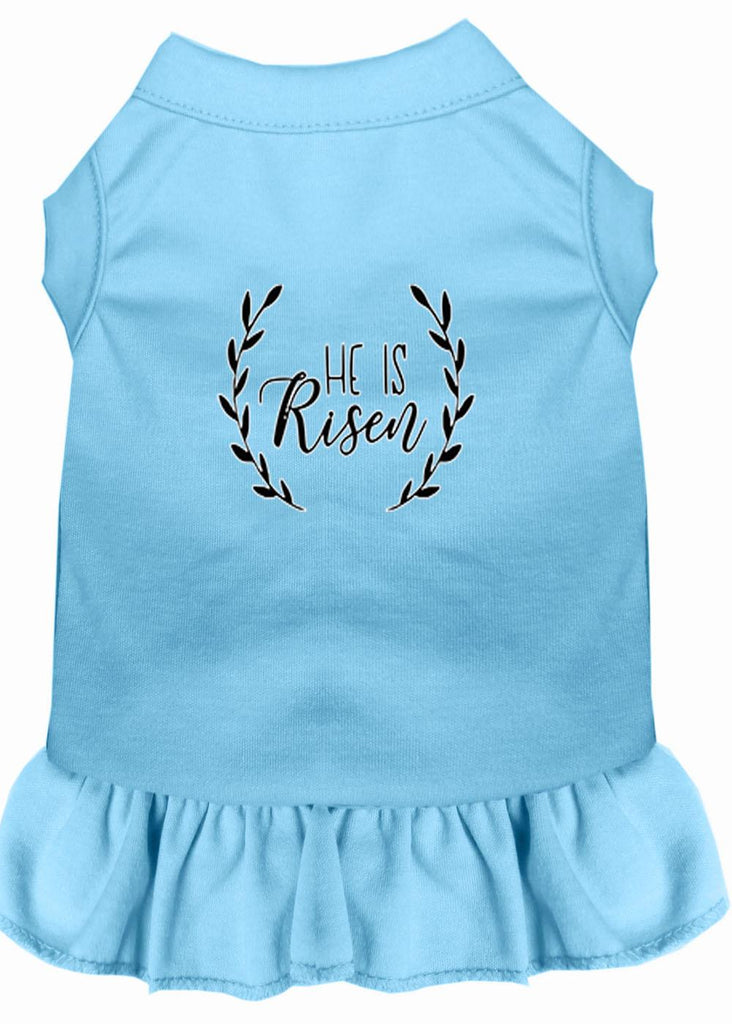 He Is Risen Screen Print Dog Dress Baby Blue Lg (14)