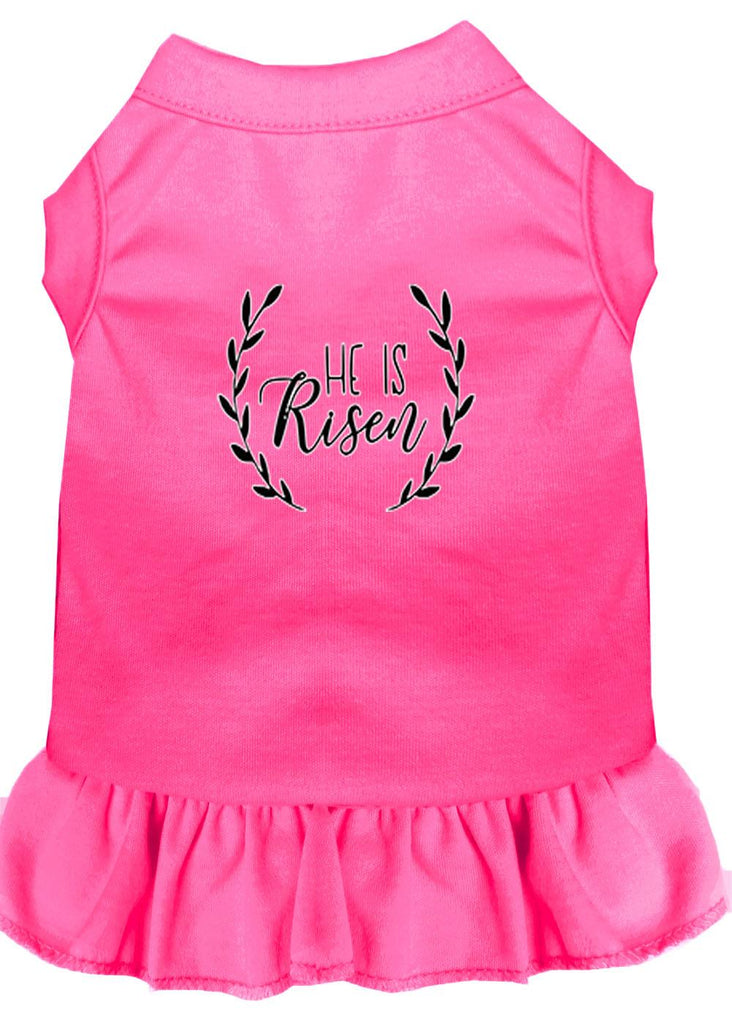 He Is Risen Screen Print Dog Dress Bright Pink 4x (22)