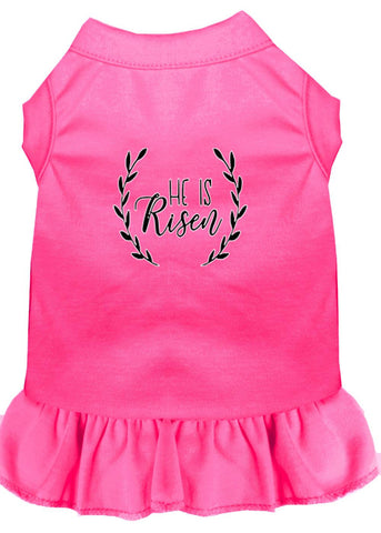 He Is Risen Screen Print Dog Dress Bright Pink Xl (16)