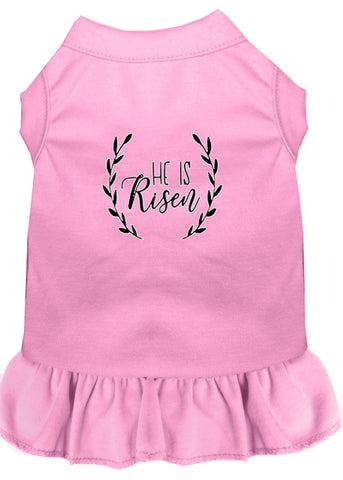 He Is Risen Screen Print Dog Dress Light Pink Med (12)