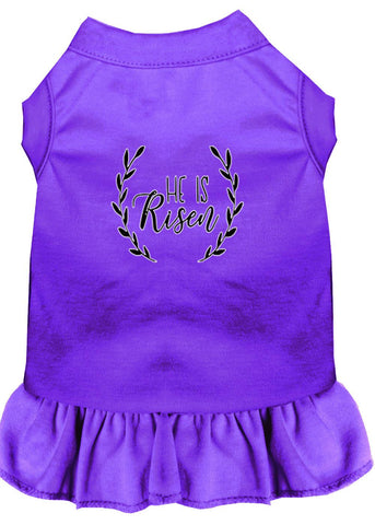 He Is Risen Screen Print Dog Dress Purple 4x (22)