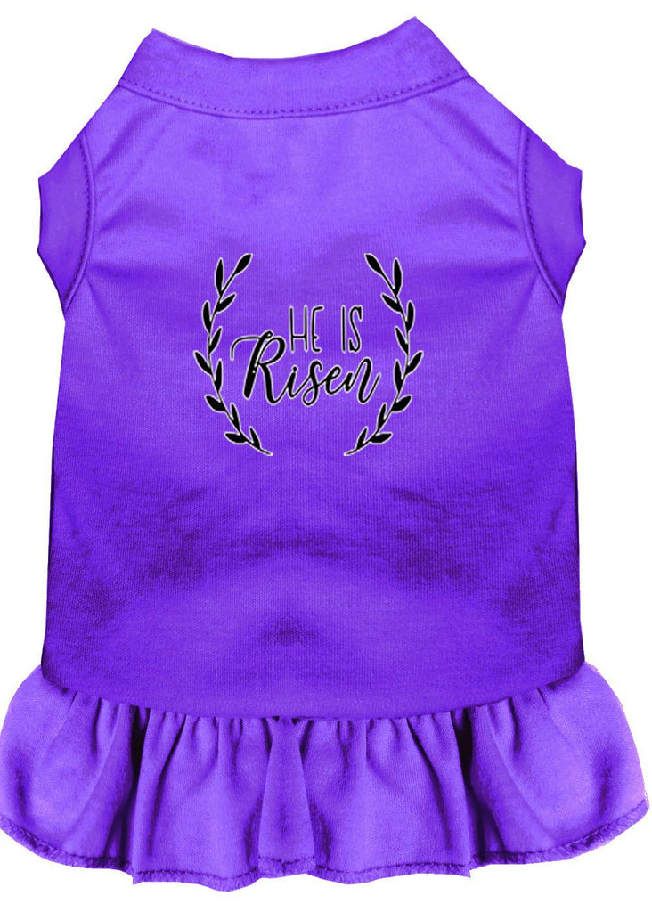 He Is Risen Screen Print Dog Dress Purple Xl (16)