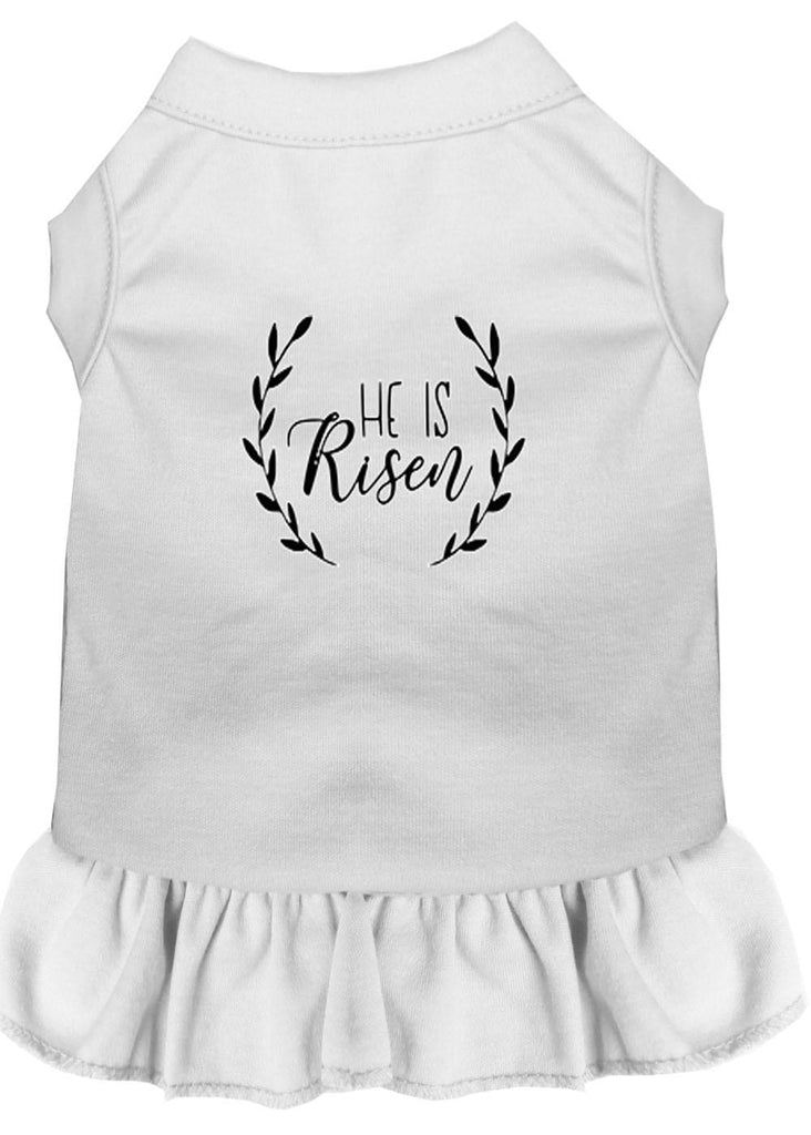 He Is Risen Screen Print Dog Dress White 4x (22)