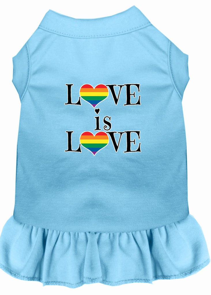 Love Is Love Screen Print Dog Dress Baby Blue 4x