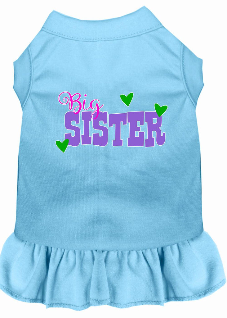 Big Sister Screen Print Dog Dress Baby Blue 4x