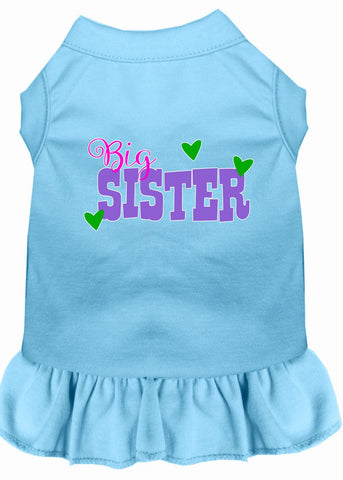 Big Sister Screen Print Dog Dress Baby Blue Xxxl