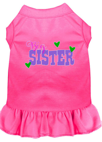 Big Sister Screen Print Dog Dress Bright Pink Med