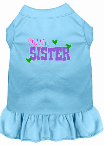 Little Sister Screen Print Dog Dress Baby Blue 4x