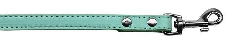 Premium plain pet leash 1-2" wide x 4' long Aqua