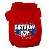 Birthday Boy Screen Print Pet Hoodies