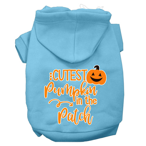 Cutest Pumpkin In The Patch Screen Print Dog Hoodie Baby Blue L