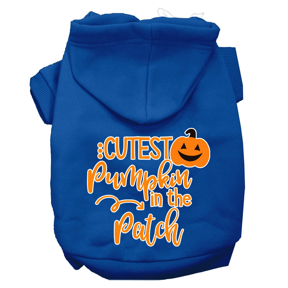 Cutest Pumpkin In The Patch Screen Print Dog Hoodie Blue S